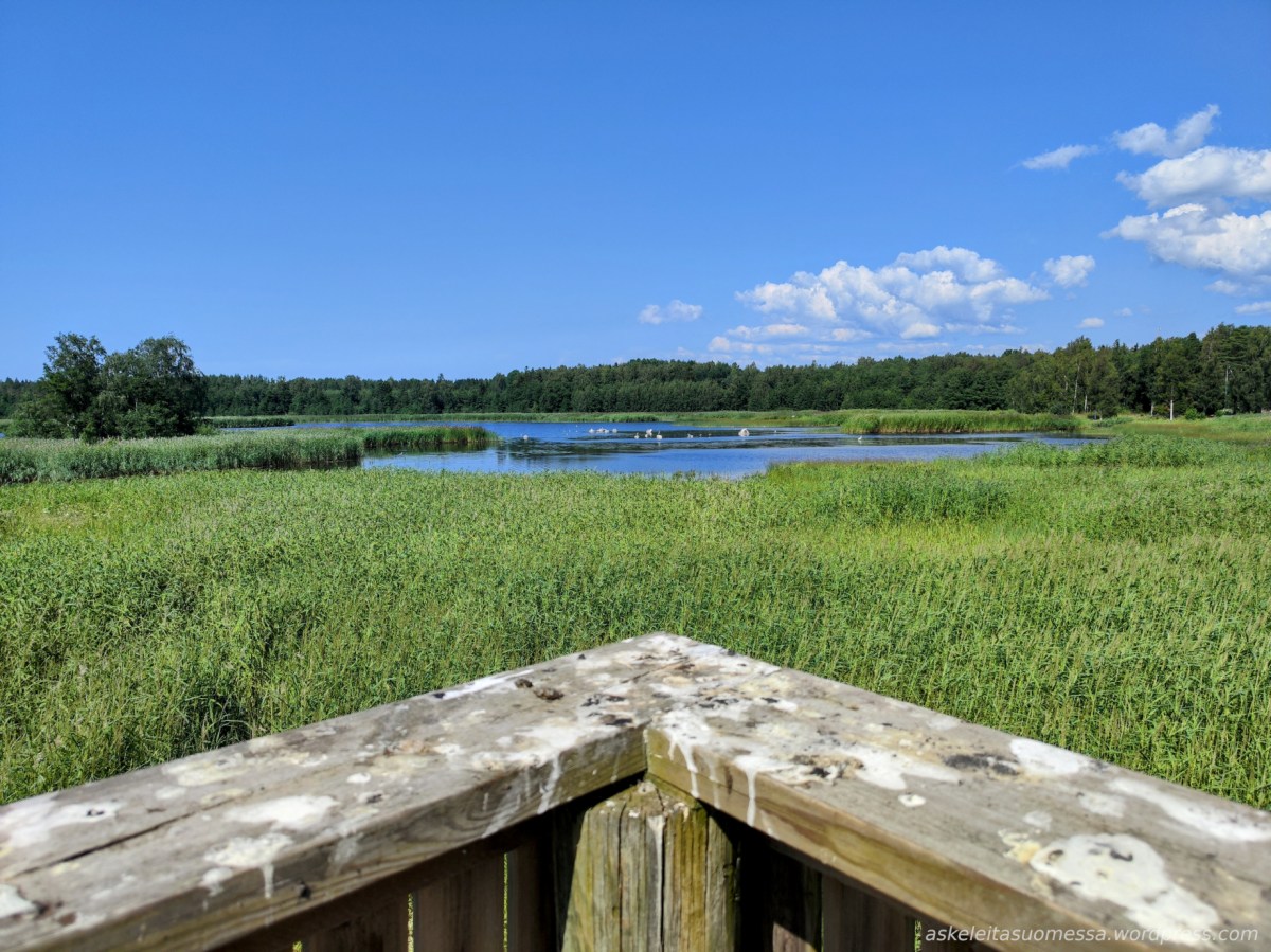 Unajan lintutorni (Rauma)