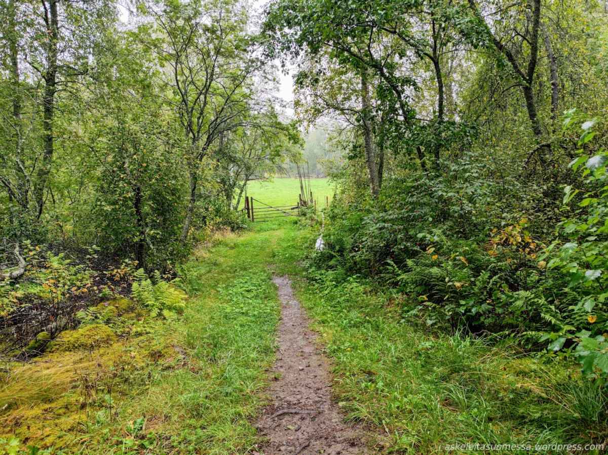 Vehmaanniemi (Sastamala)