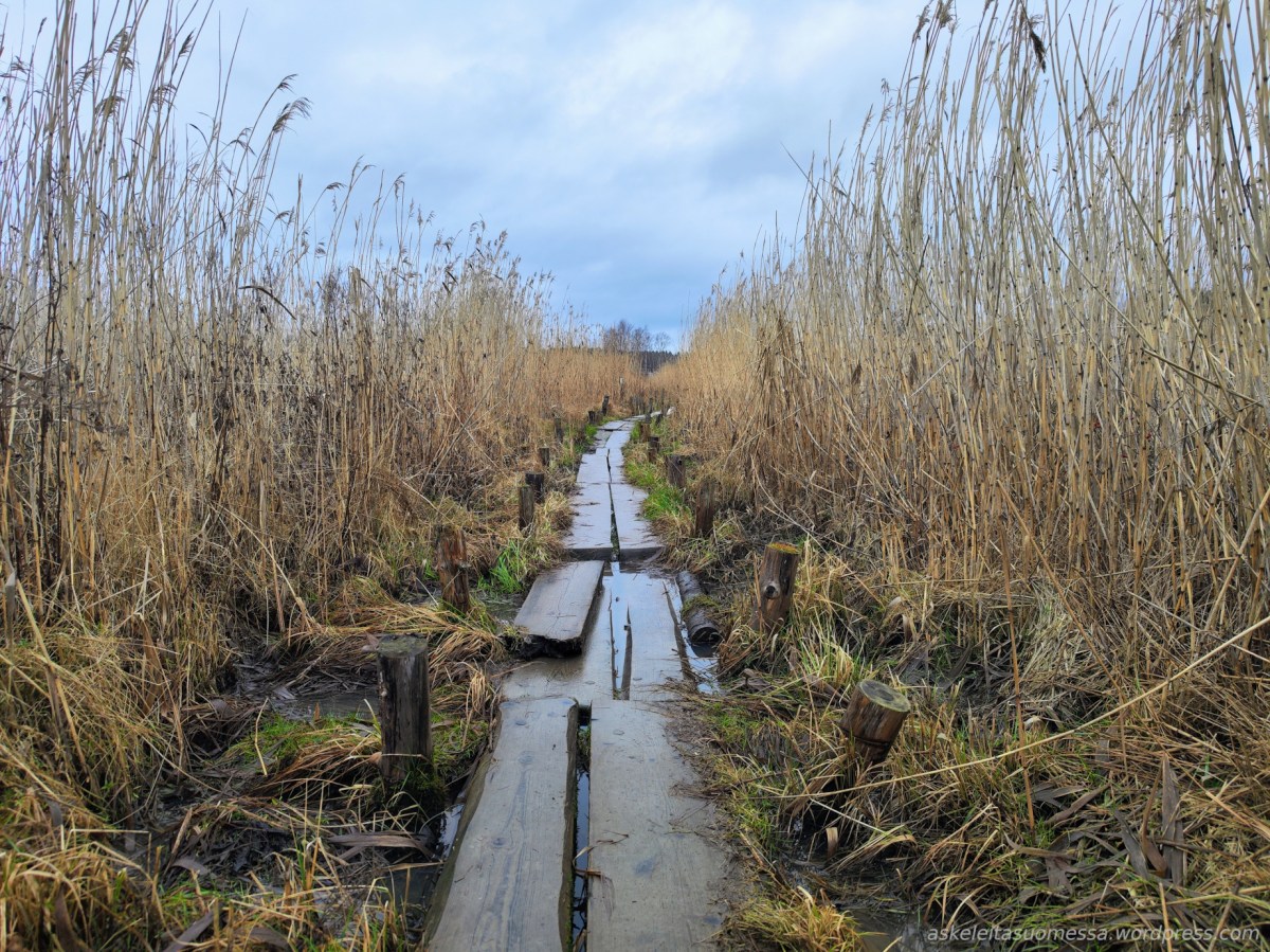 Rauvolanlahti ja Vaarniemi&nbsp;(Kaarina)