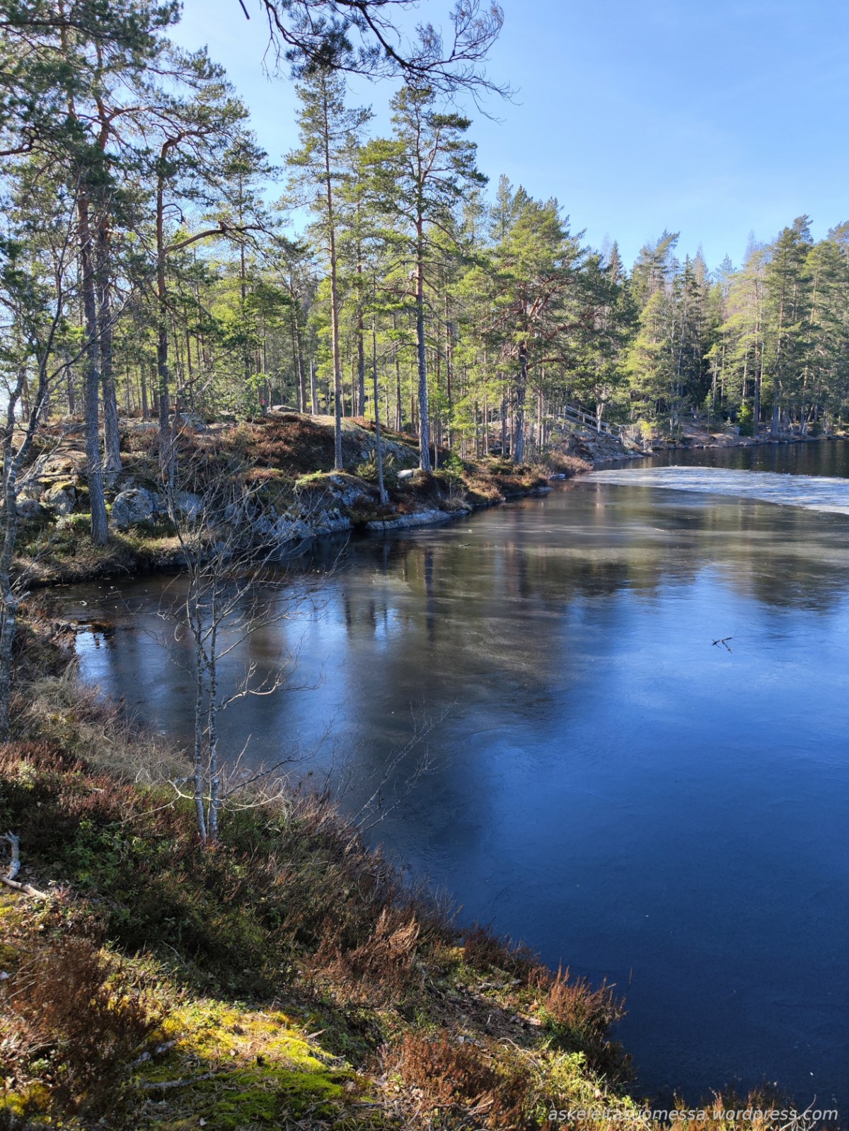 Pukalan virkistysmetsä (Orivesi)